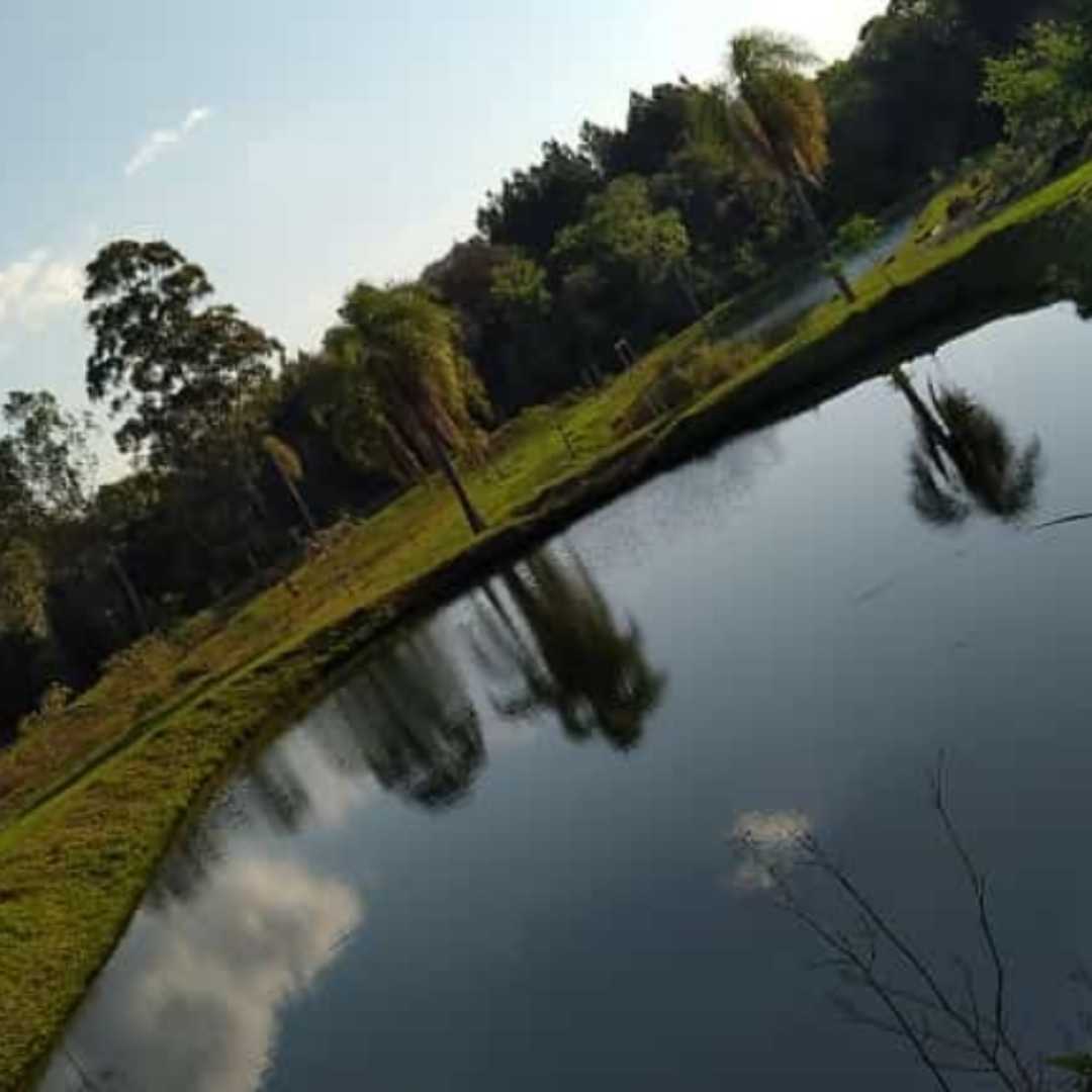 misiones 