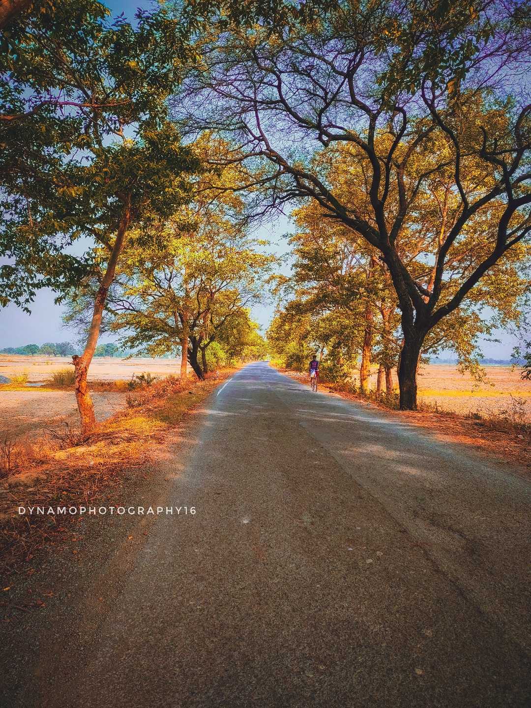 🛣️ Roadside Photography 🛣️