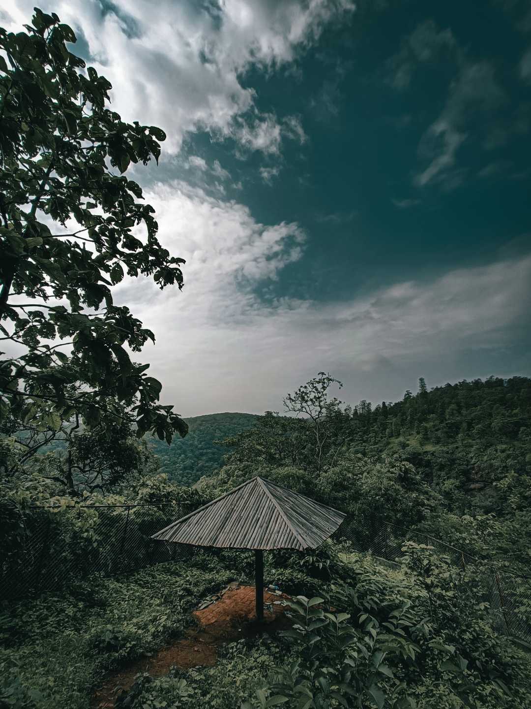 Into The Wild 🏞️