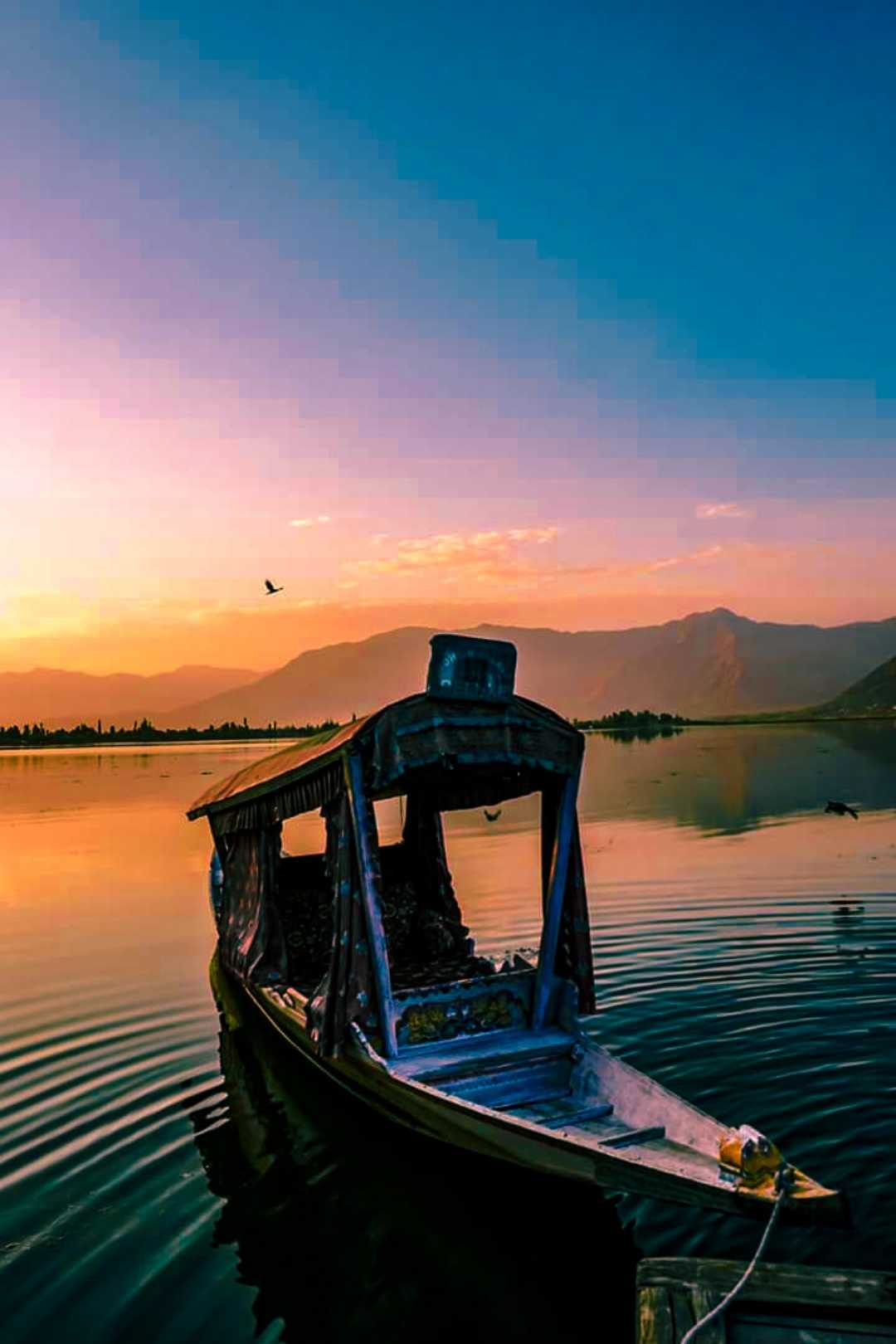 Magical Sunset view, Dal lake Srinagar 📍