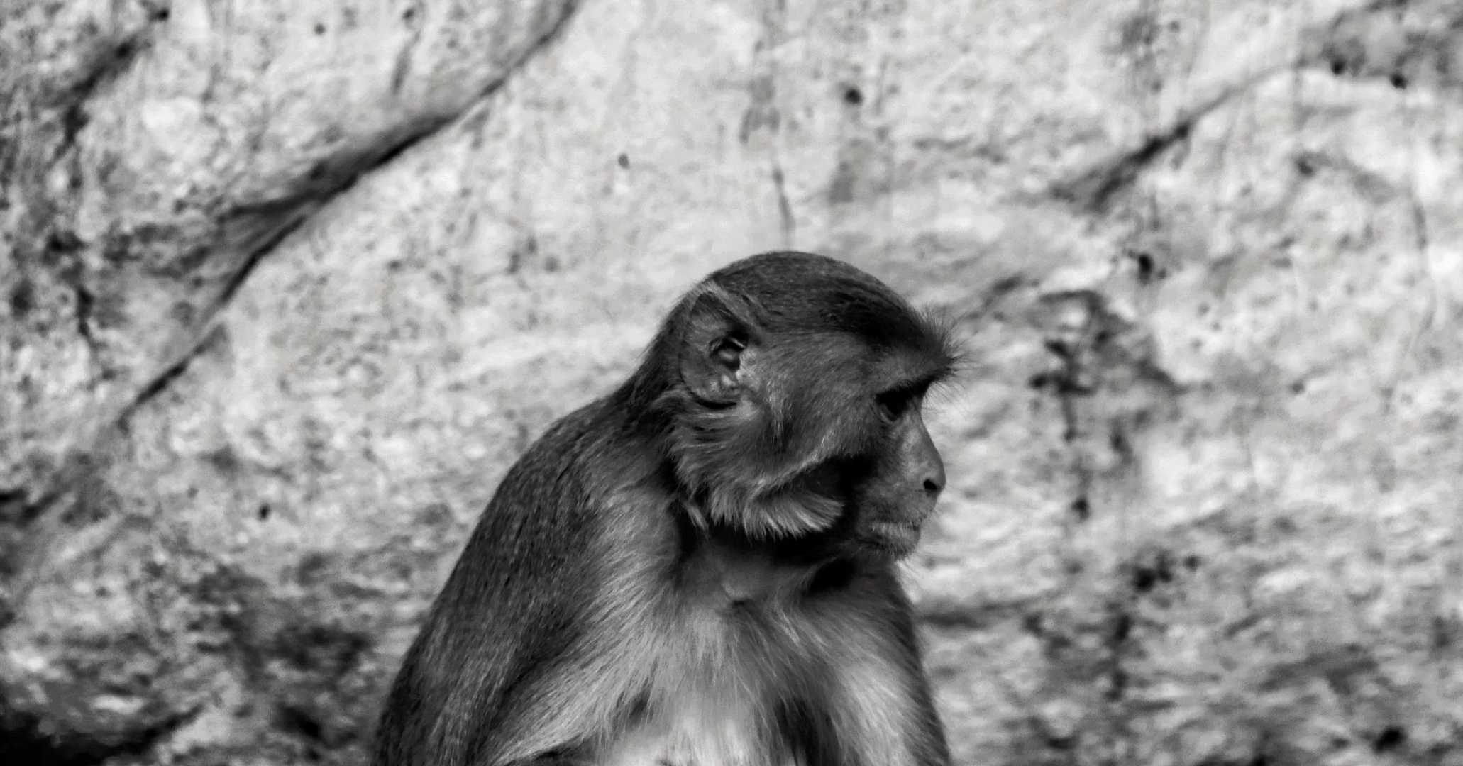 B W