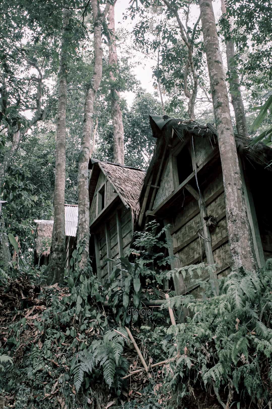 Trip Baduy, Lebak Banten