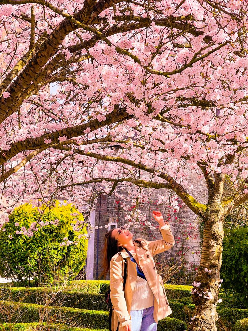 Blossom 