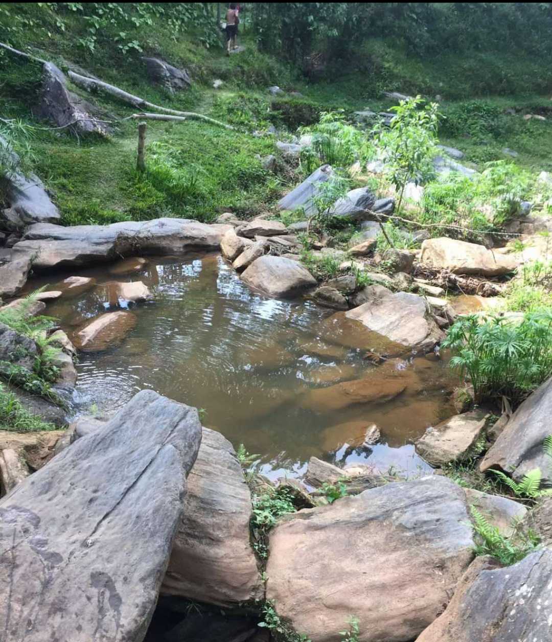 Oasis 