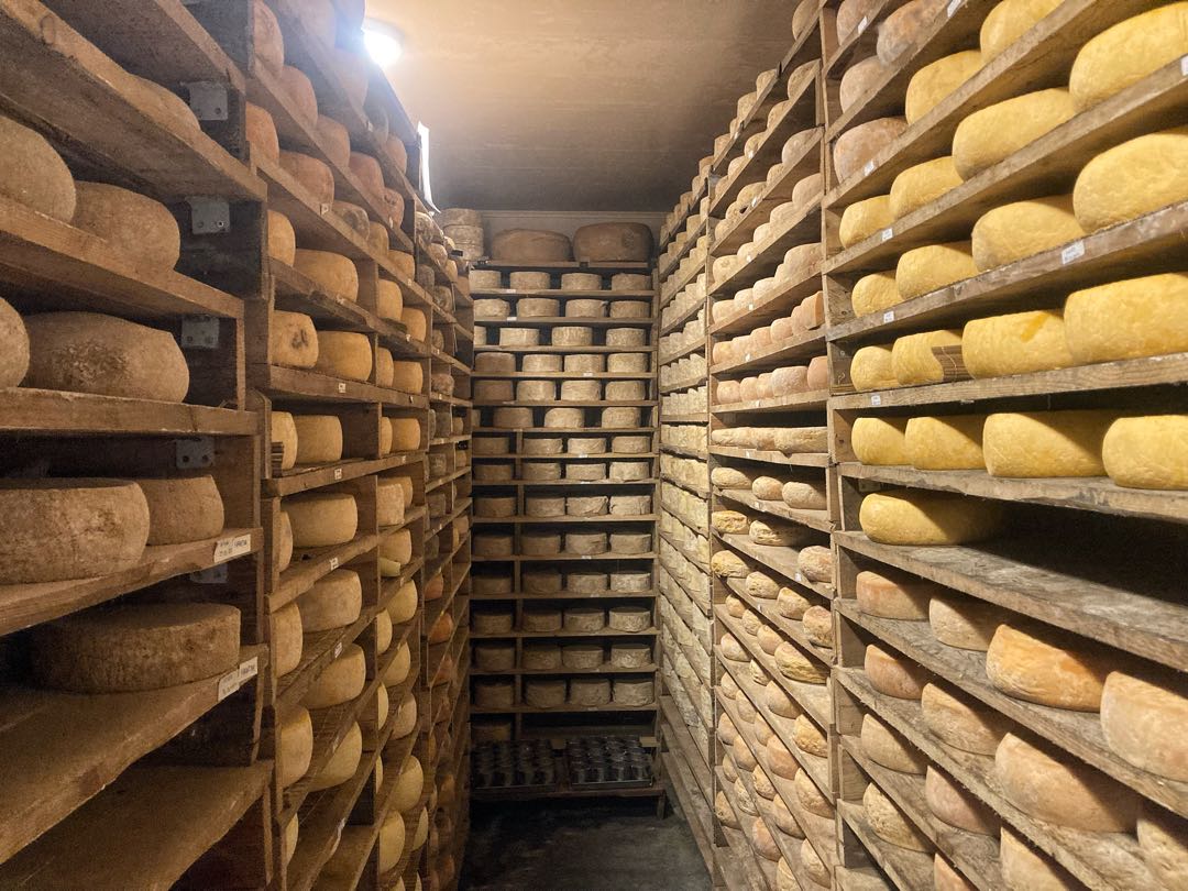Mazaraat Cheese Factory