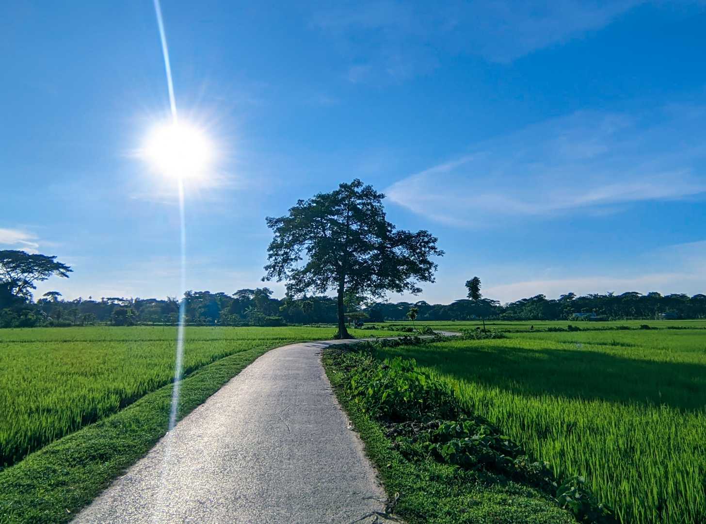 A Sunny Day.