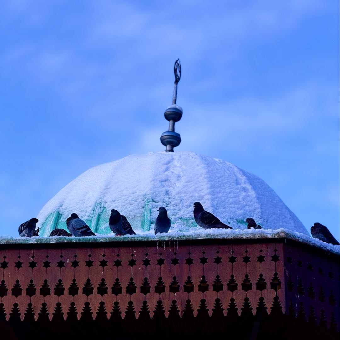 Bursa