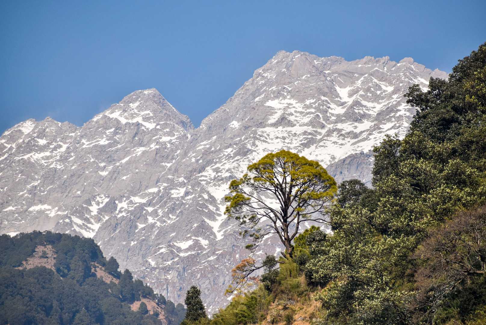 Snow Covered Mountains 