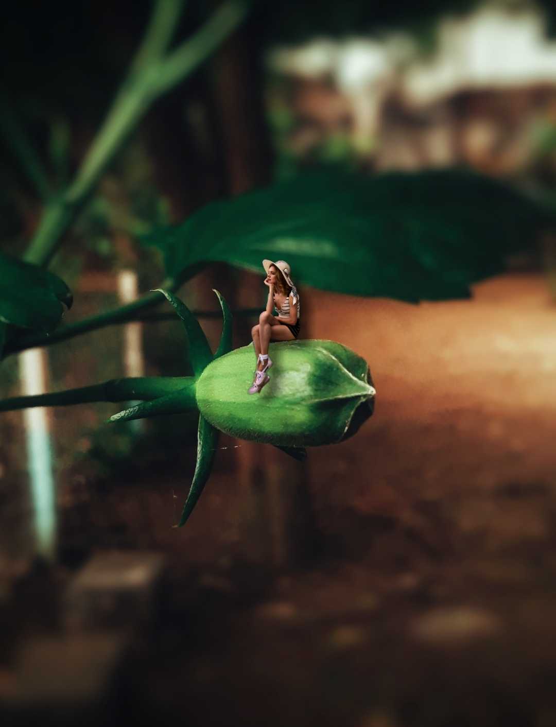 creative photography 