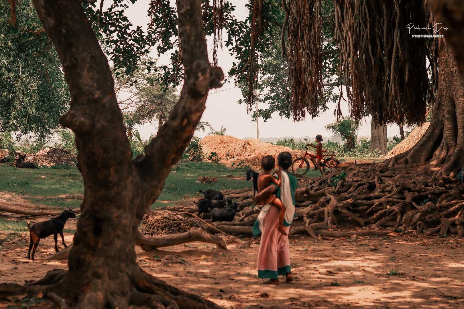 Composition Of Village Life