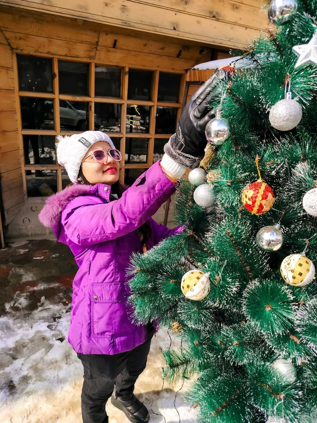 🎄Christmas Vibes 🎄