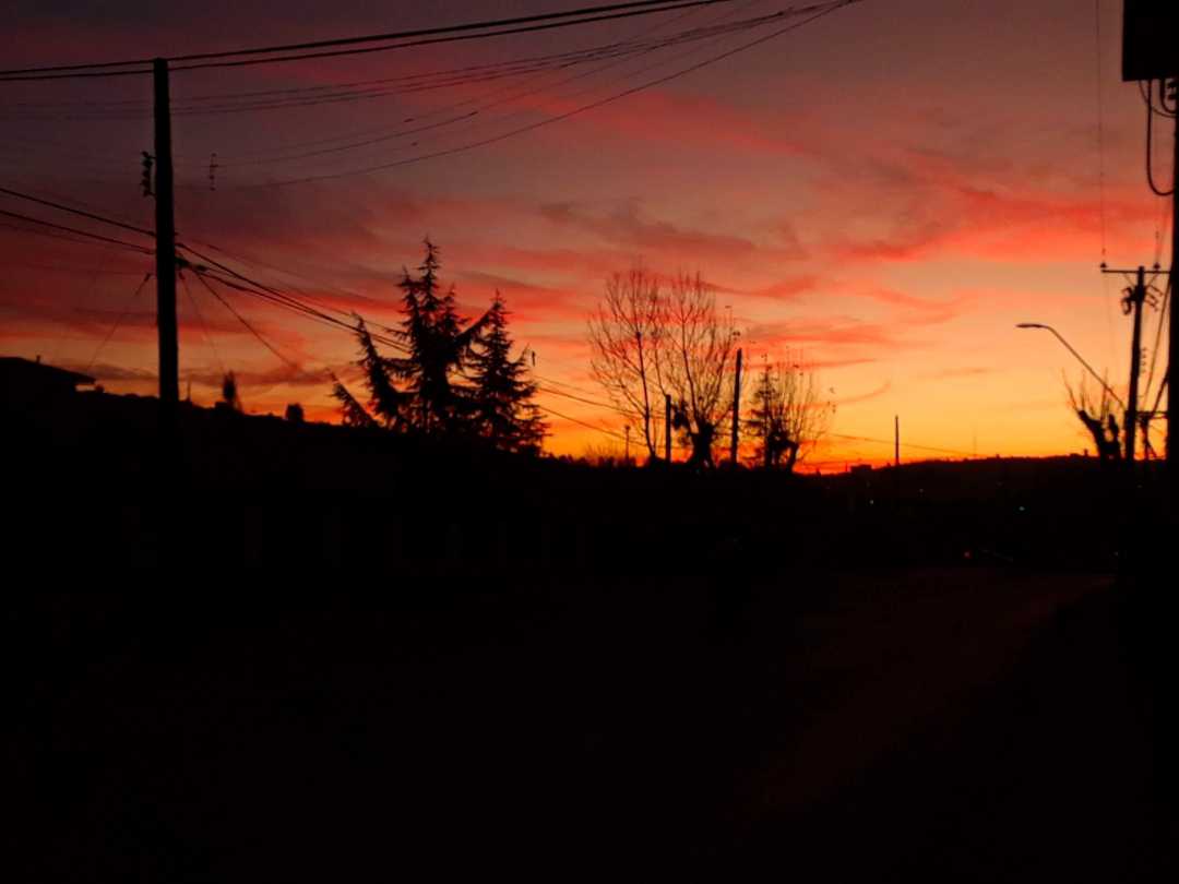 Entre sombras y colores;