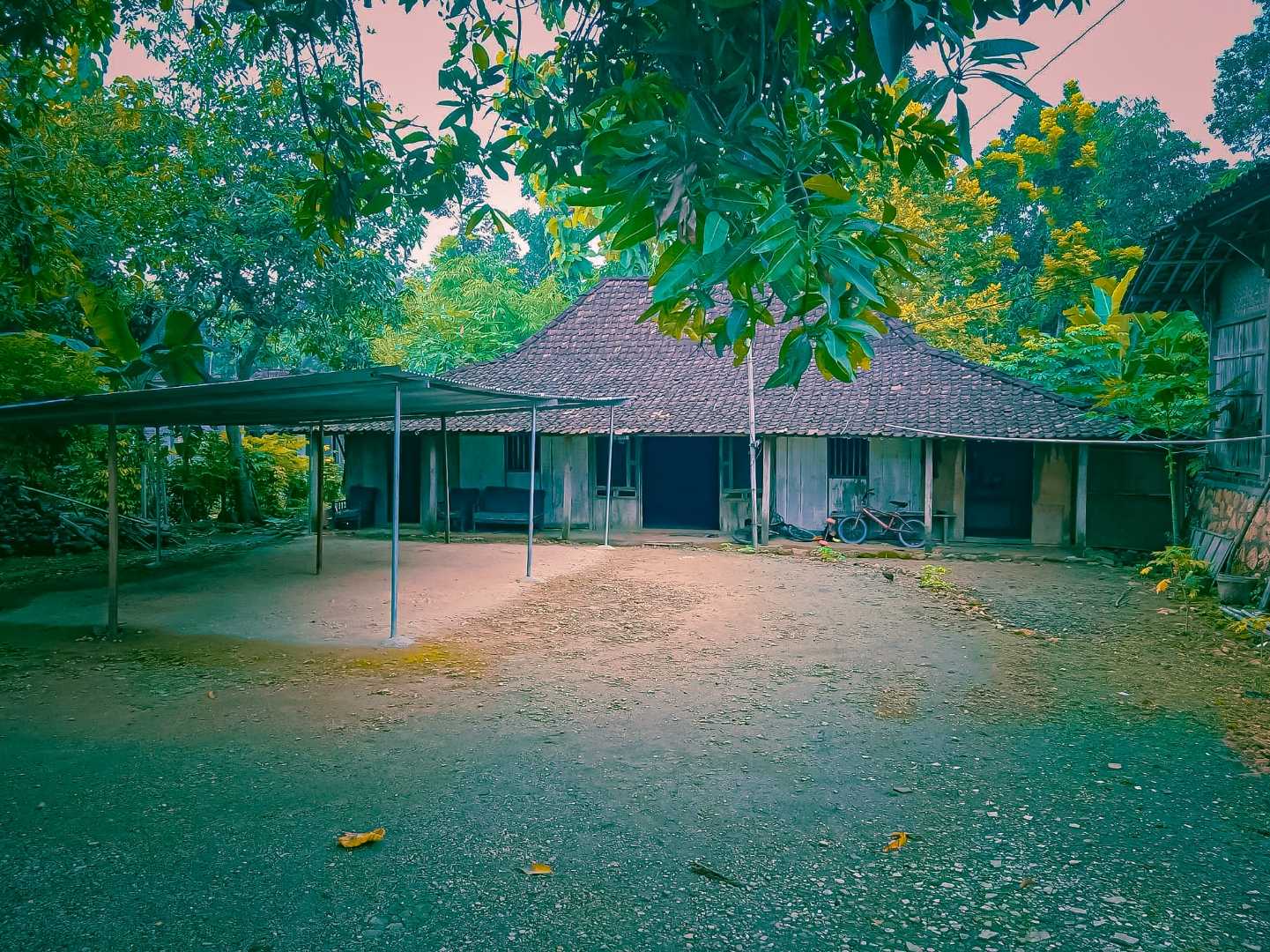 Home Green