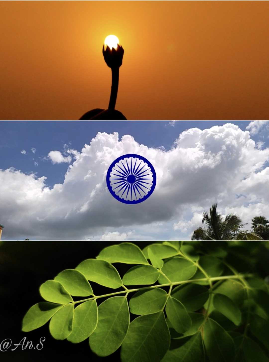 Tiranga 🧡🤍💚