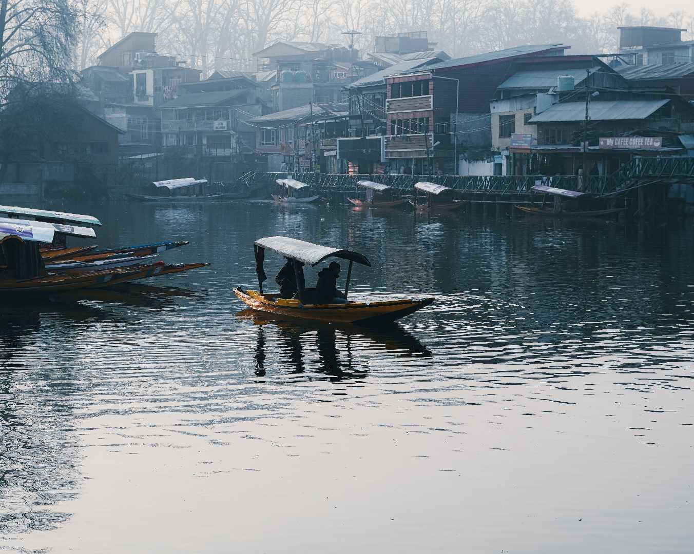 mist morning