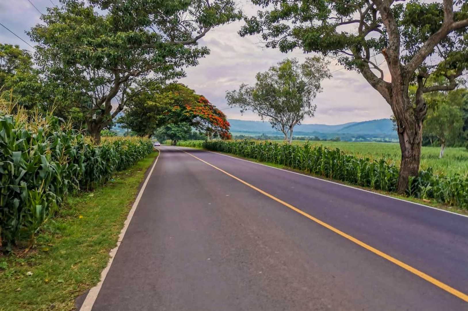 Carretera a Cerro Verde 