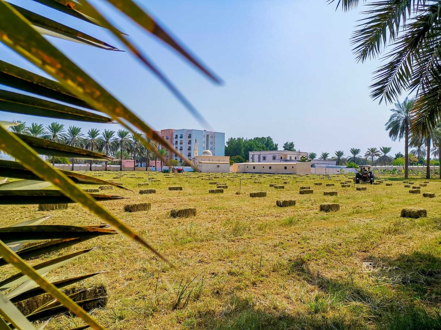 Beautiful View of A Farm 