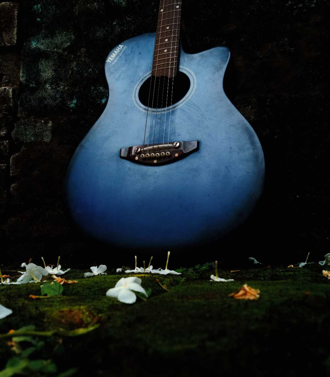 Jahan Dekho Music Hi Music 🎶💙
