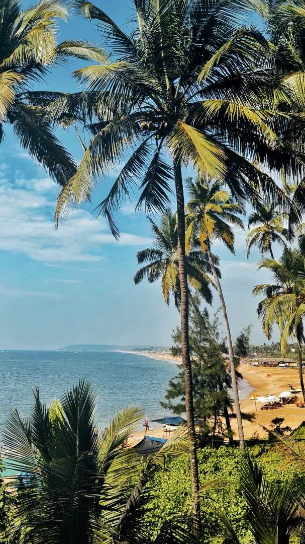 A view in Goa