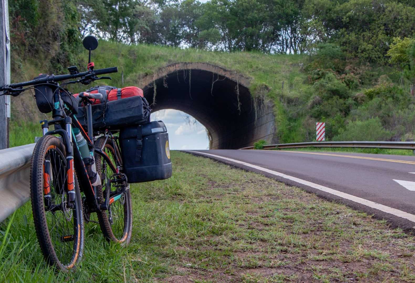 Ecotunel pasafauna