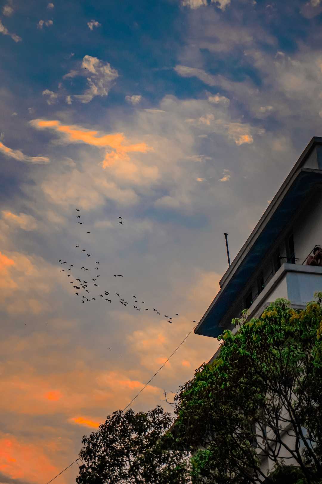 Beautiful sunset and nature