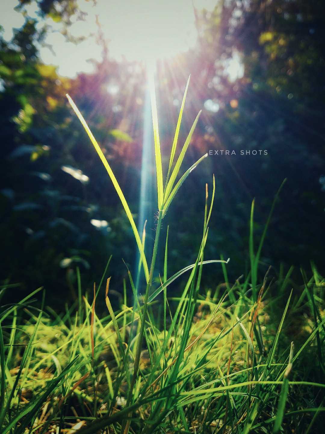 Nature vibes 