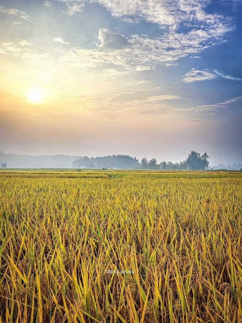 Langit Keemasan