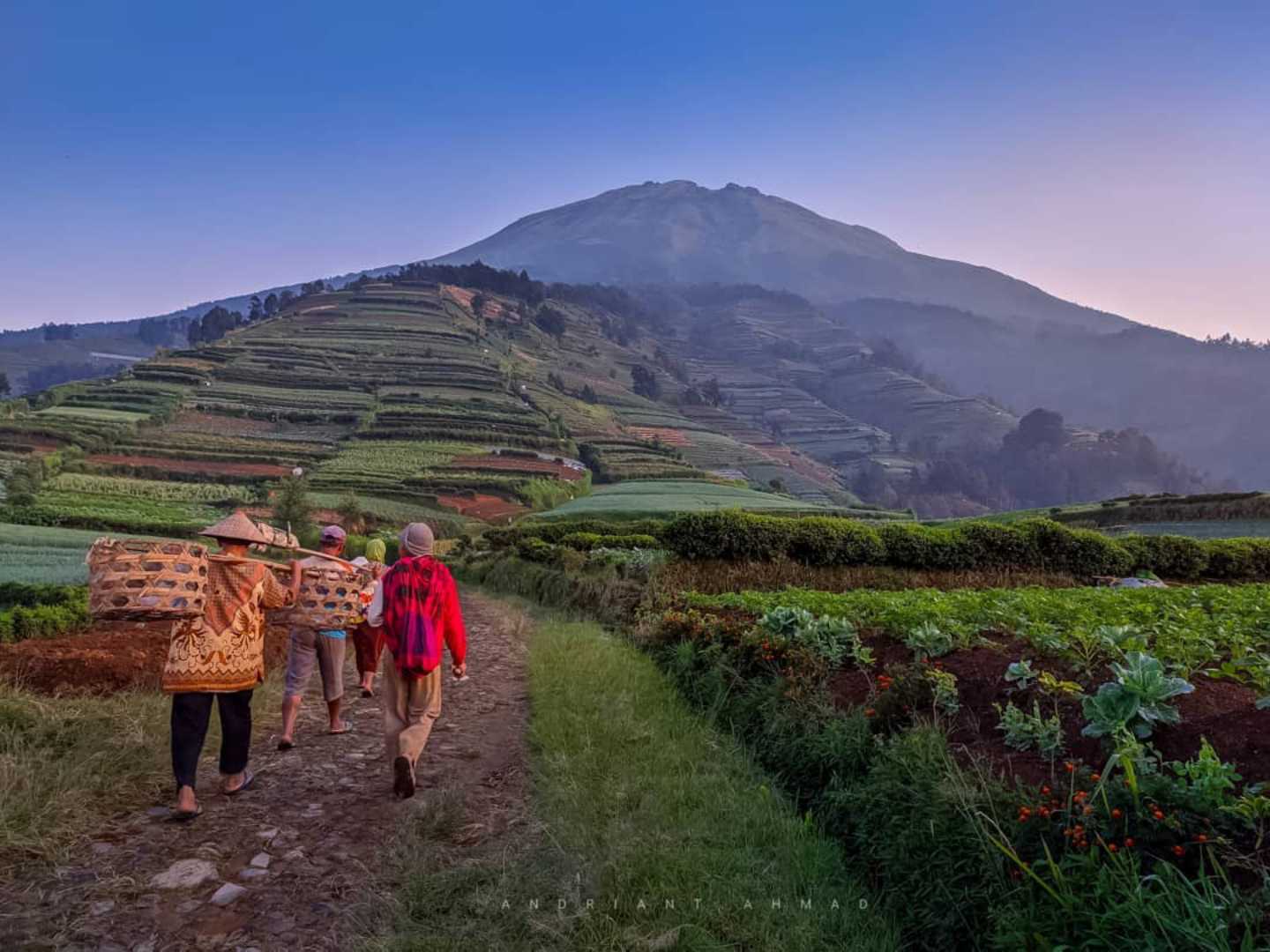 Petani Lereng Sumbing