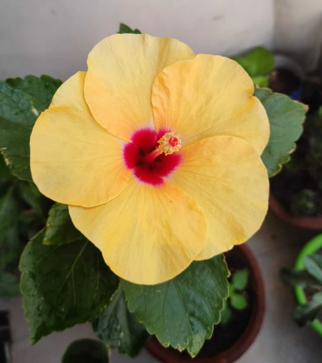 A Beautiful Piece of Nature
