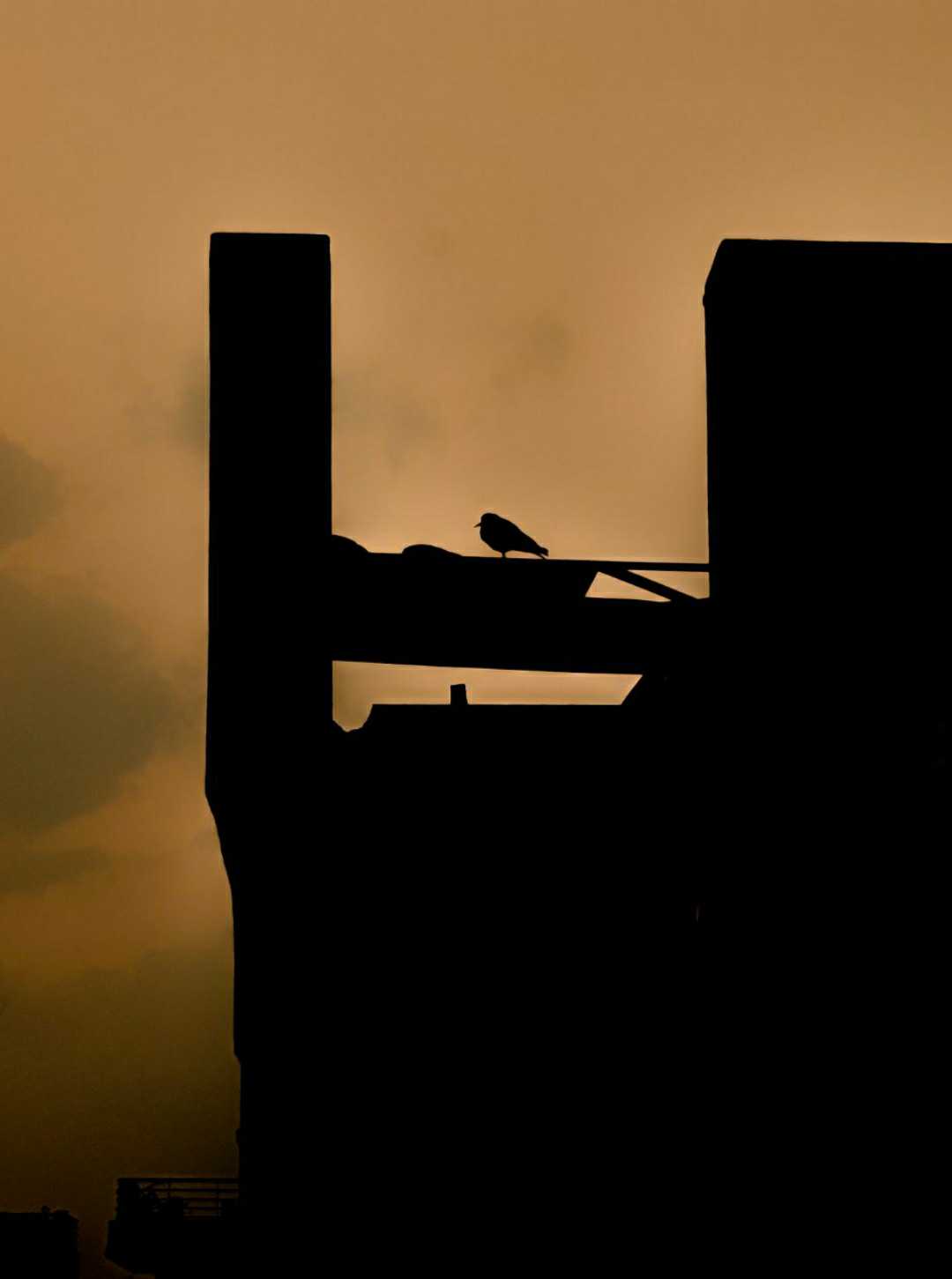 Silhouette Frame. 