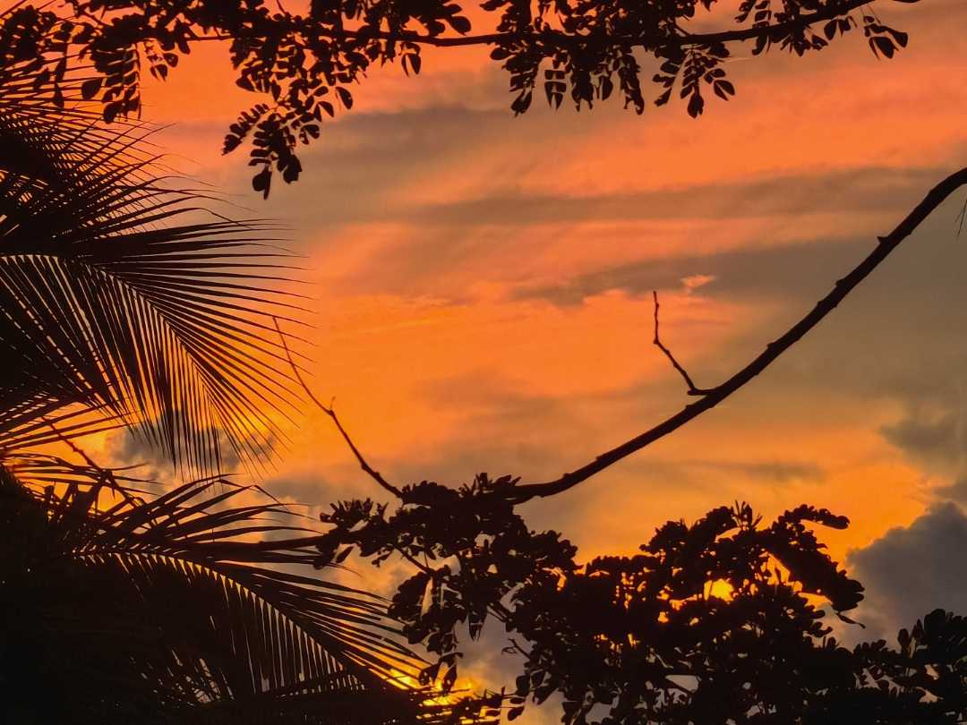 sunrise