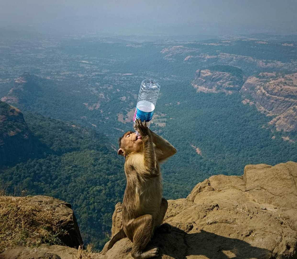 Nature & Plastic