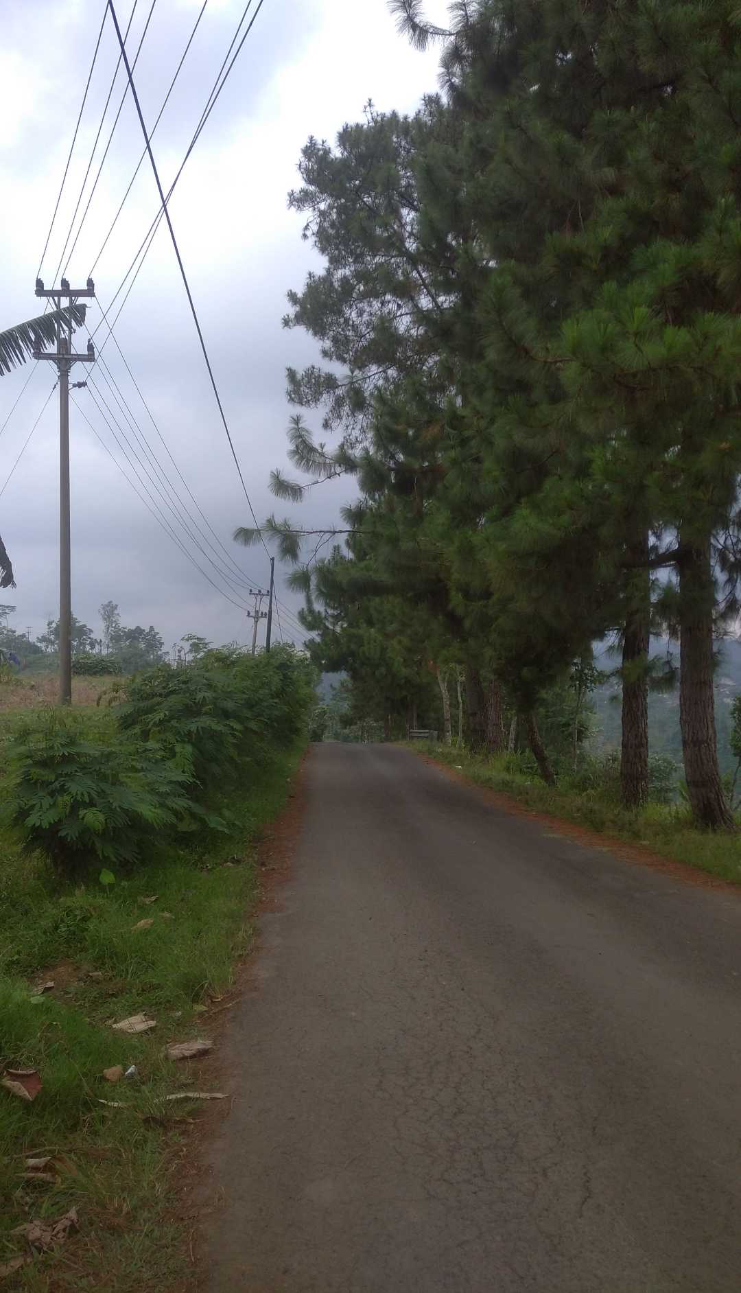 di suatu jalan