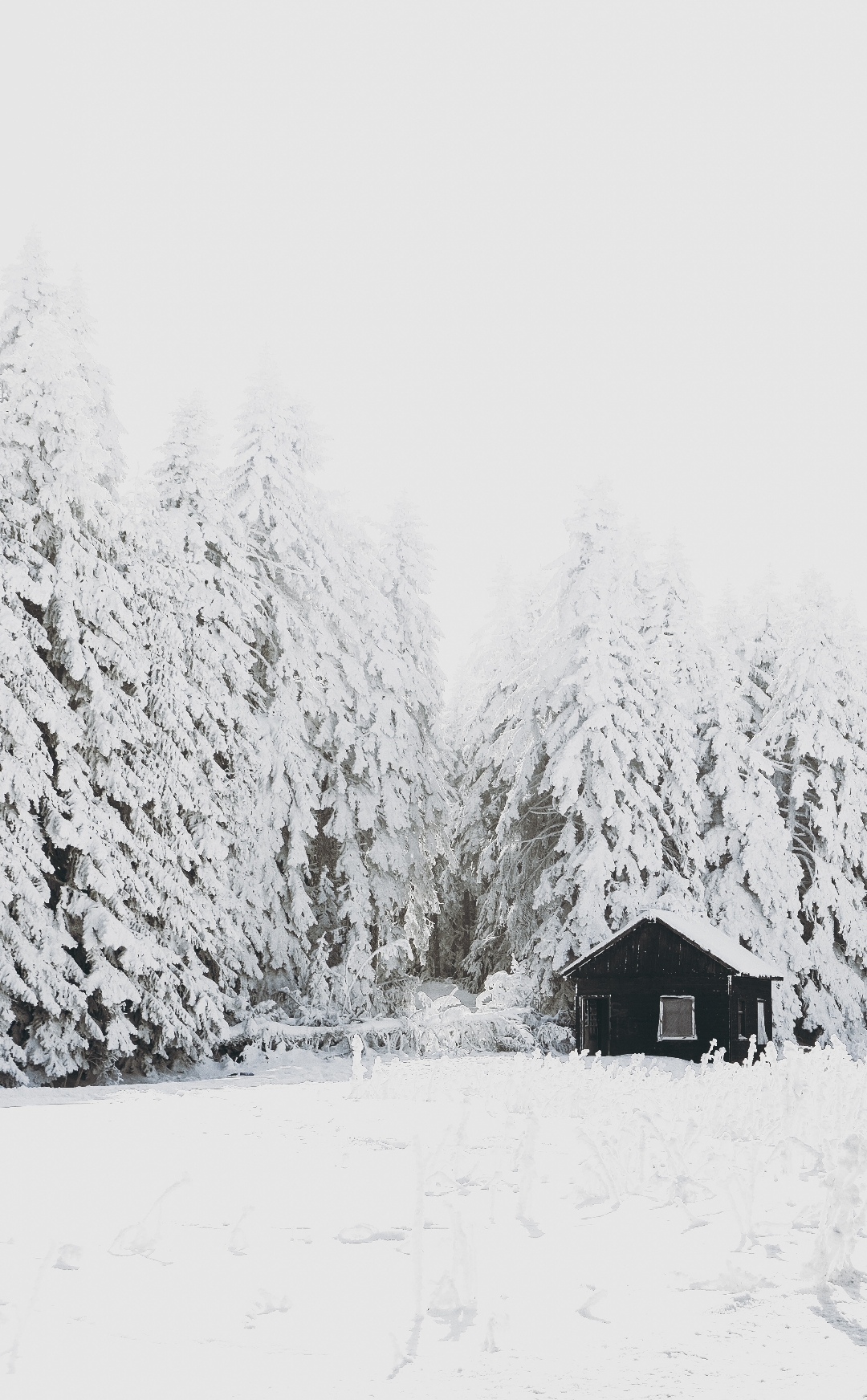 Winter magic in Bolu🏔️