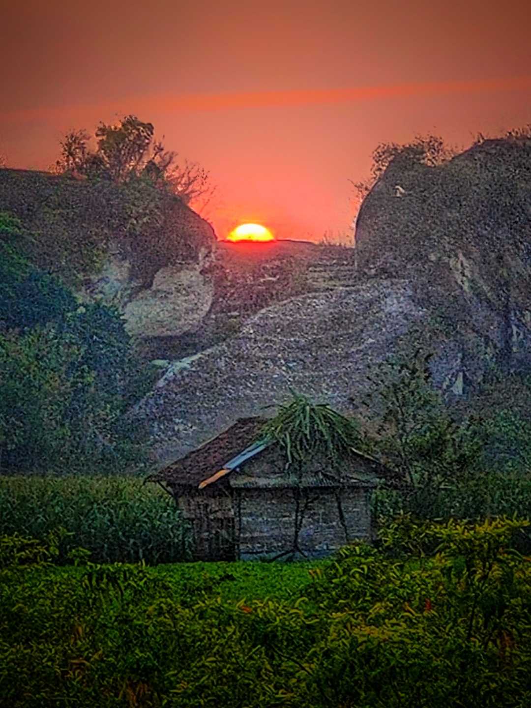 BUKIT KAPUR 