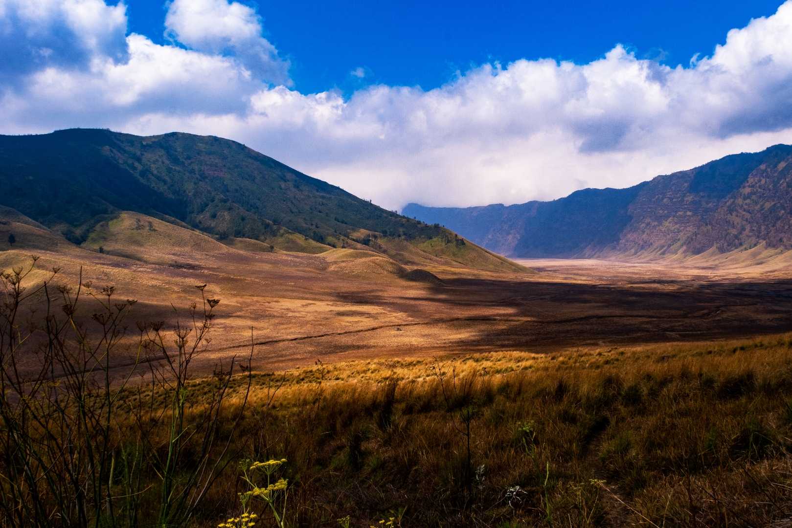 Enjoying Nature, Mount Bromo