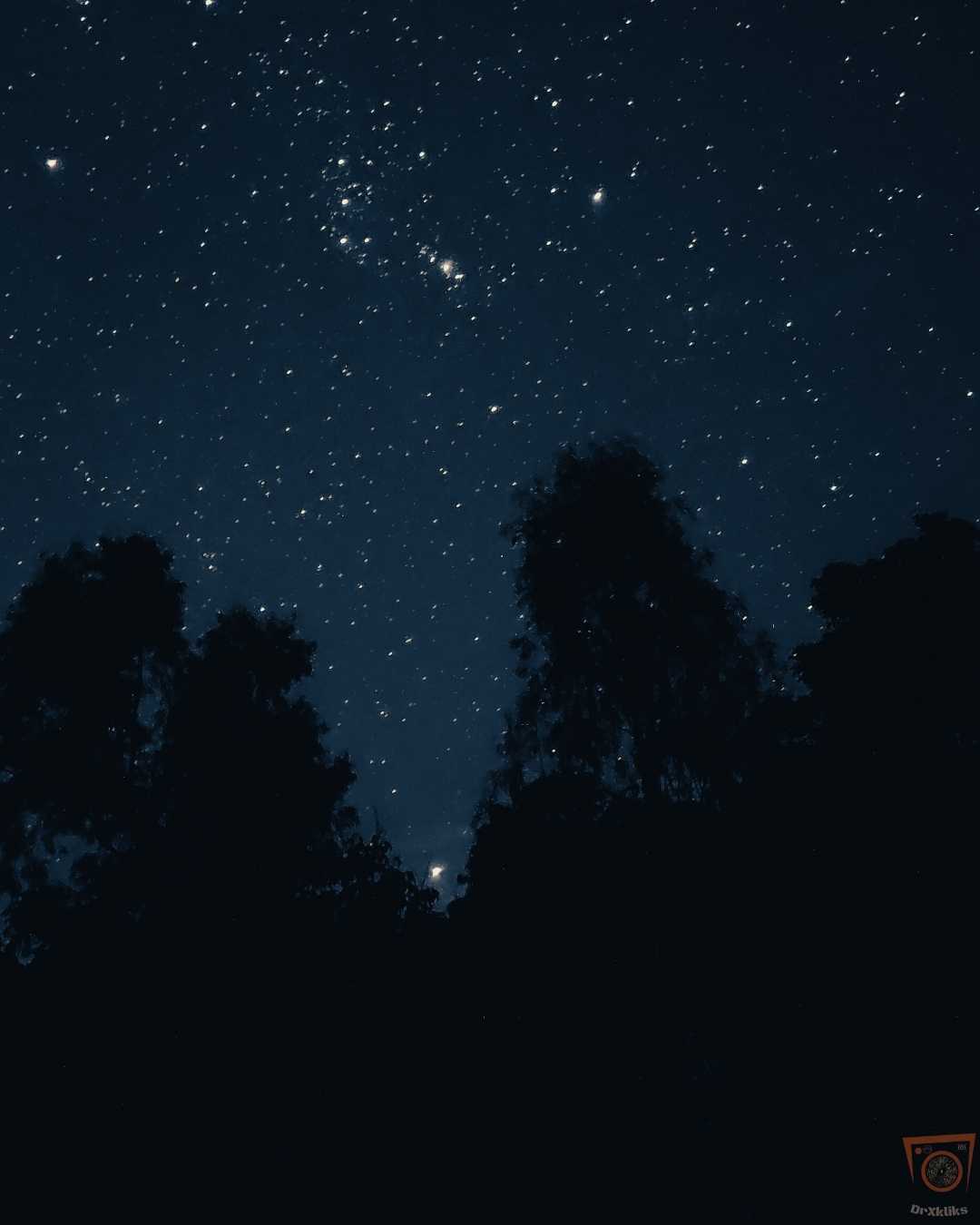 Lonely Night 