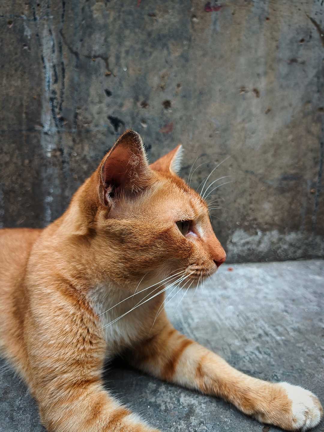 We also have our peaches fuzzy😼👆🏻😂