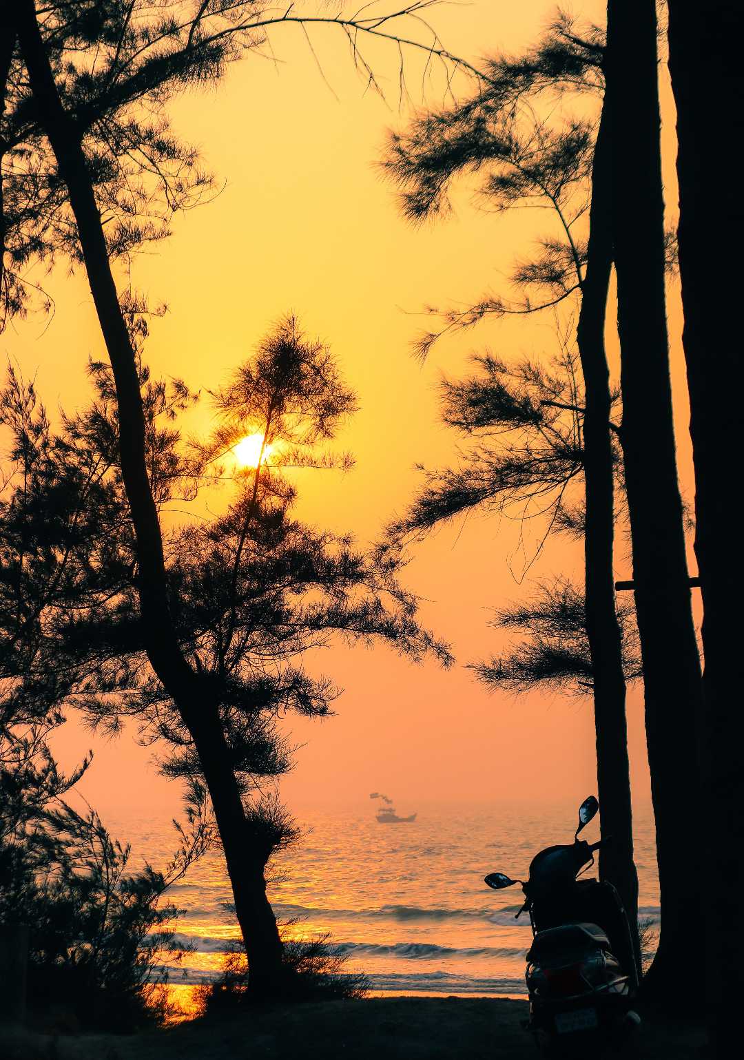 The Sunset 