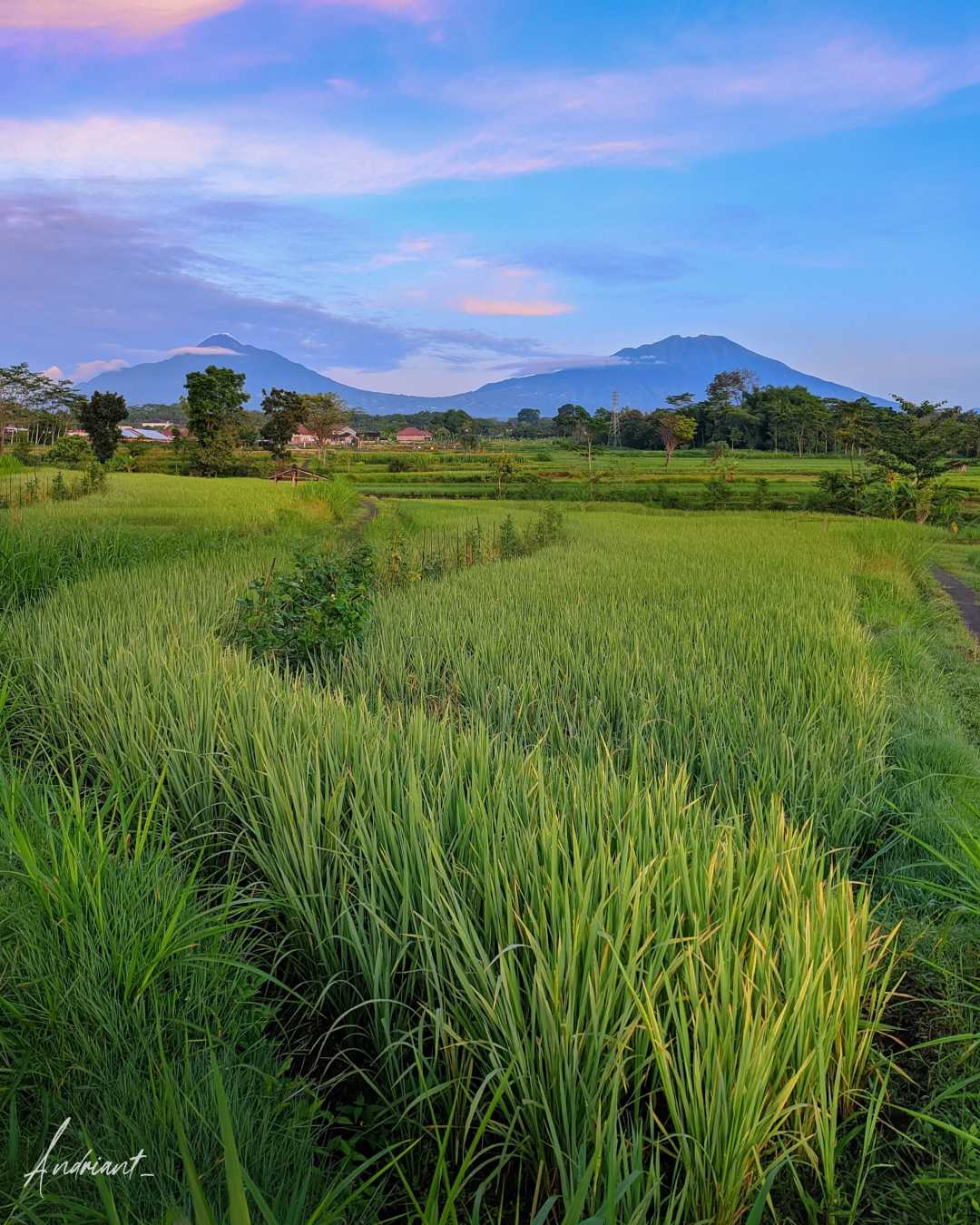 Wonderful Indonesia