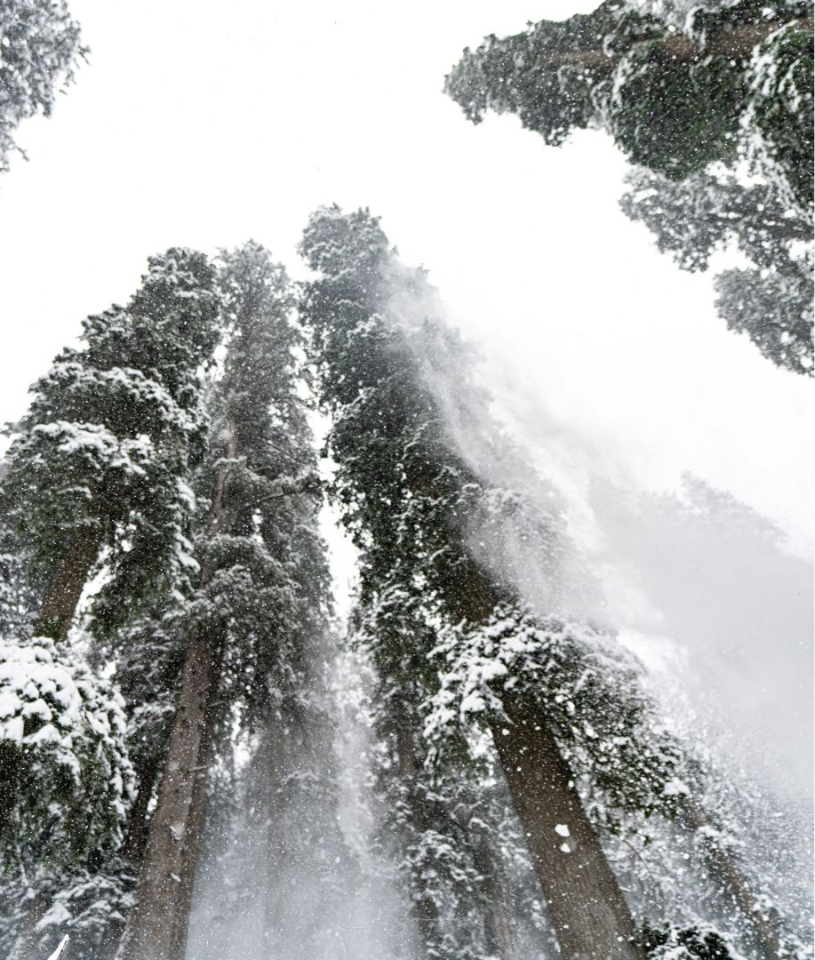 Snow Snow everywhere…