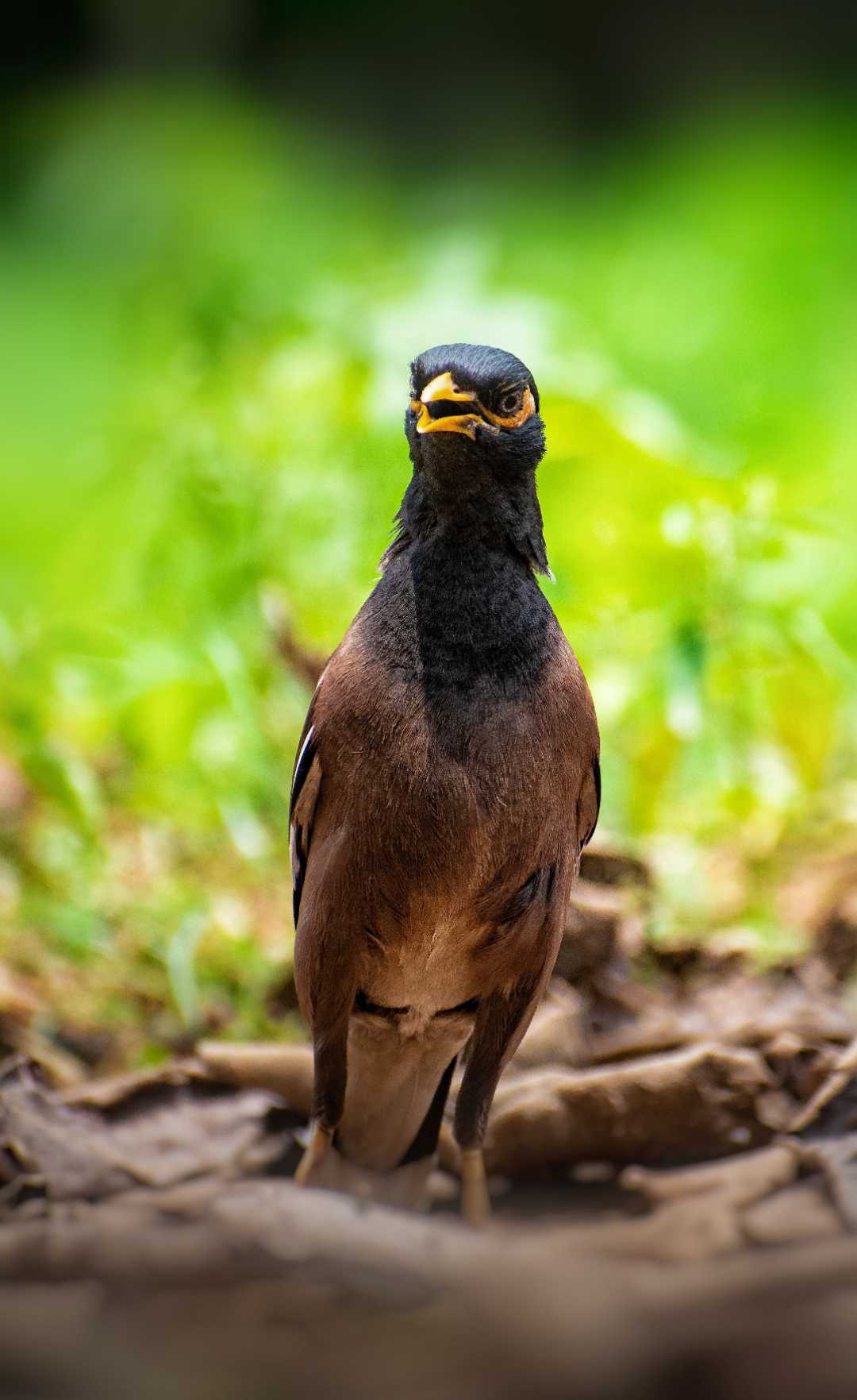 MyNa