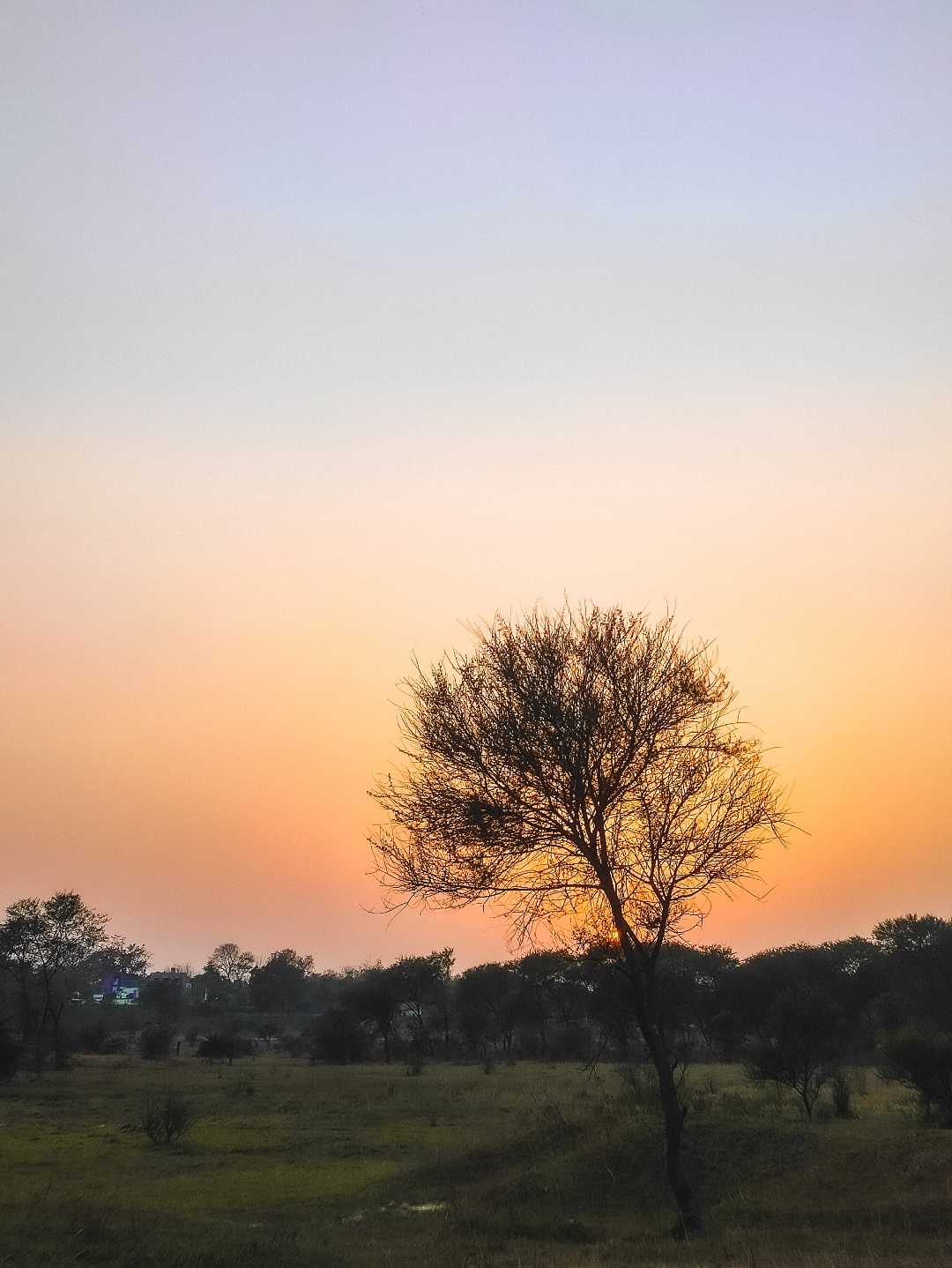 warm sunset 