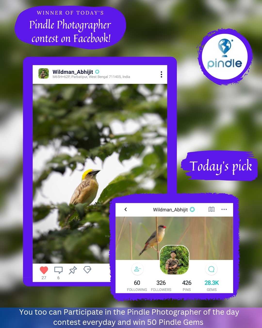Pindle Today's pick 