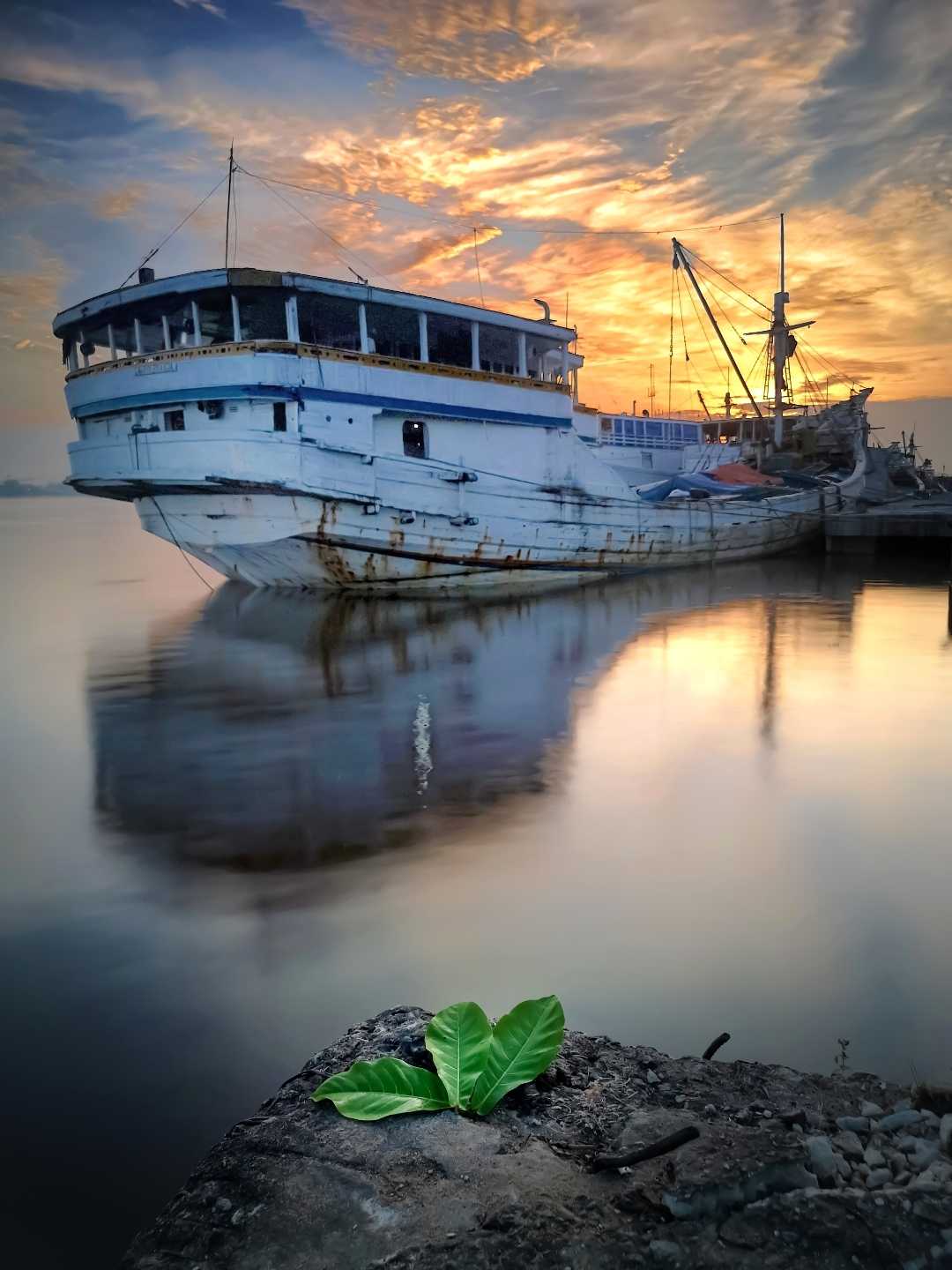 Parkir Kapal
