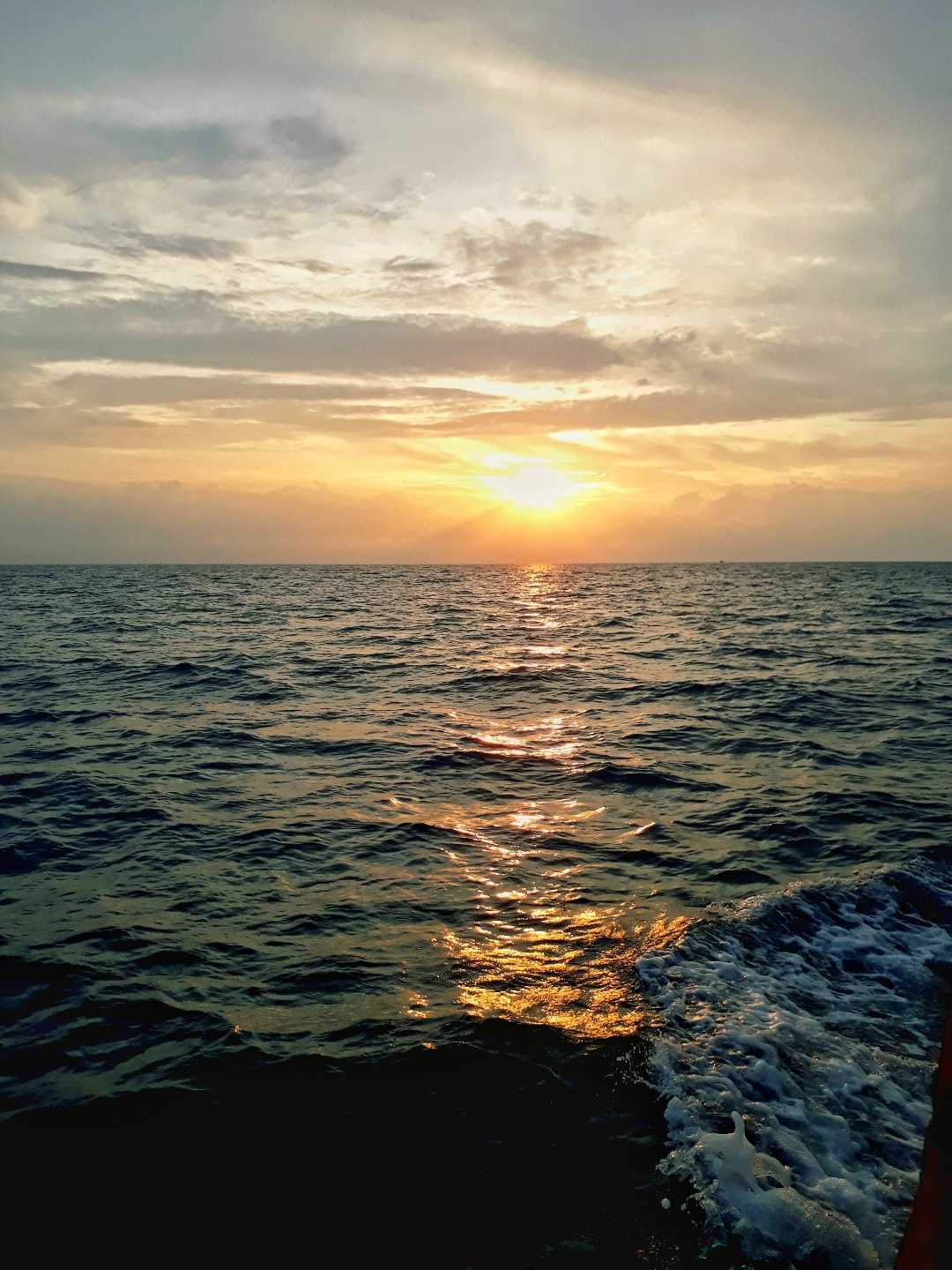 Bahari