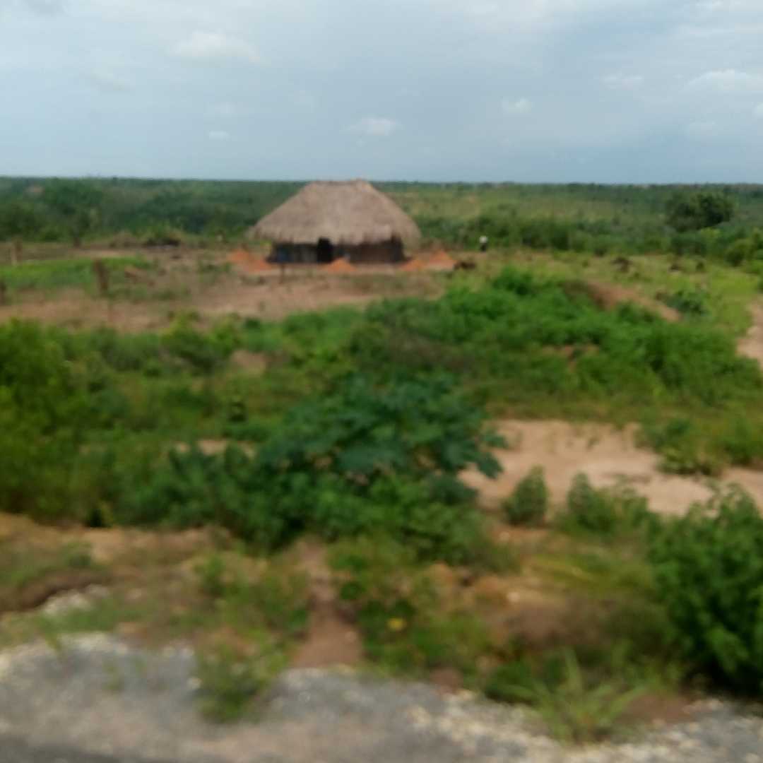 Natural environment