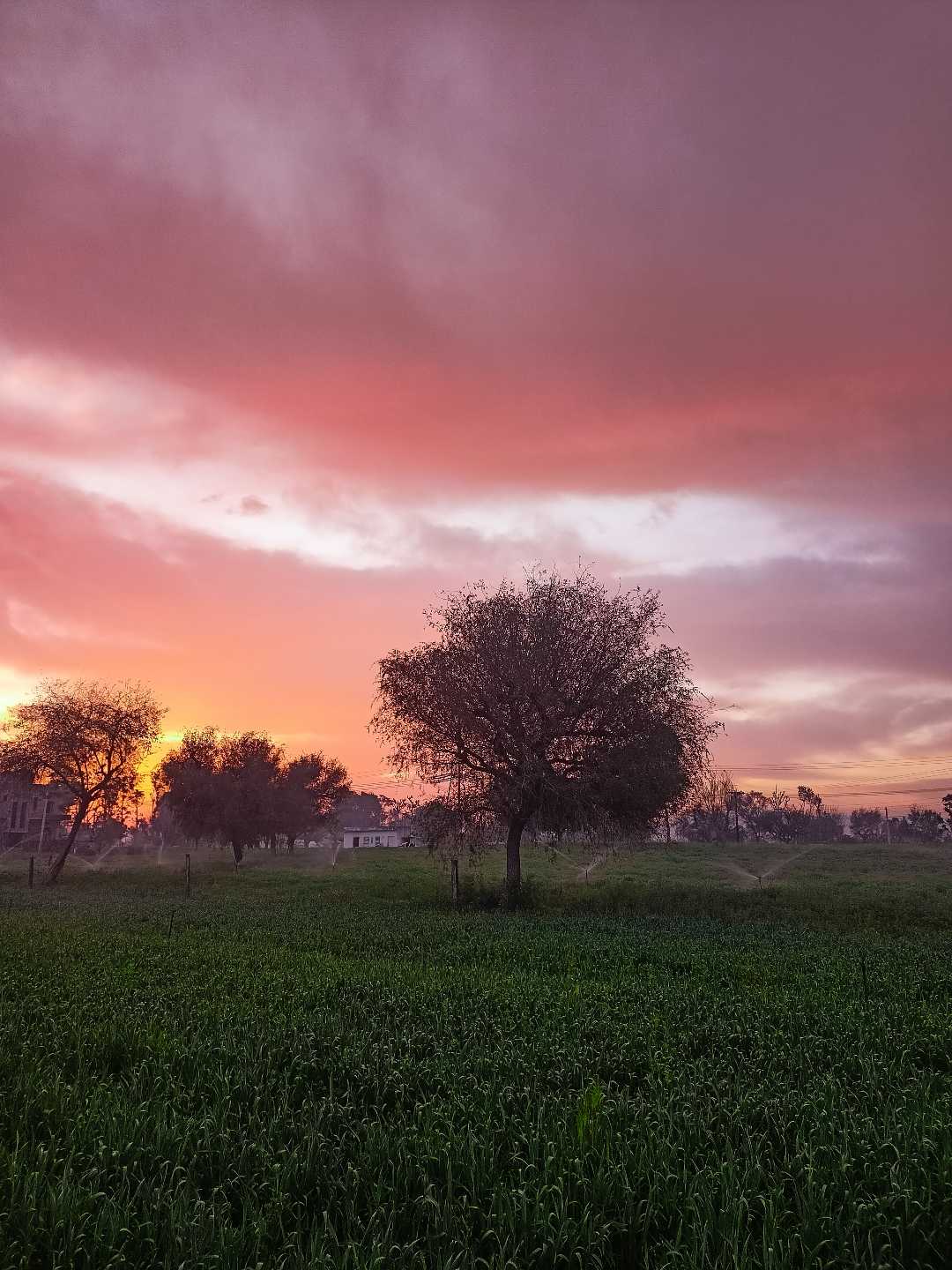 सुबह का दृश्य🌝🤞🌄