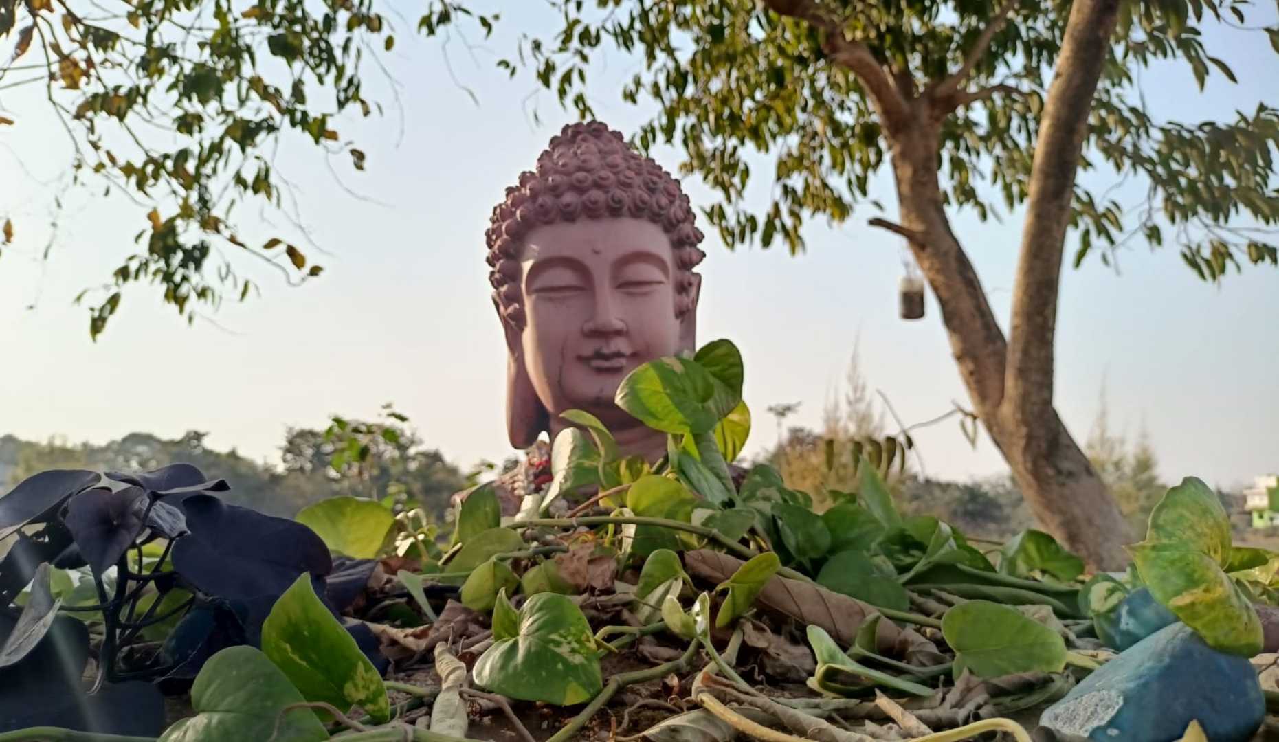 Buddha