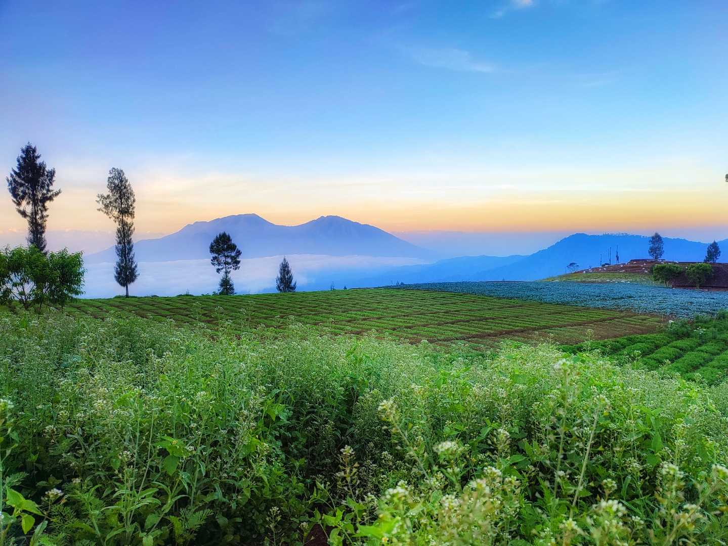 Keindahan Alam Di Puncak Brakseng 
